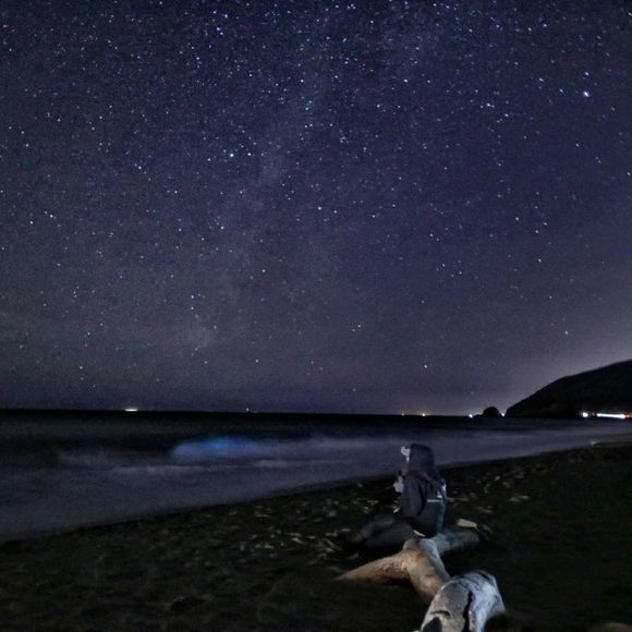 Meet your Posher, Sandy - Picture 1 of 1